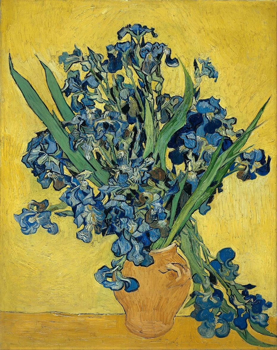  120-Vincent van Gogh-iris, 1890 